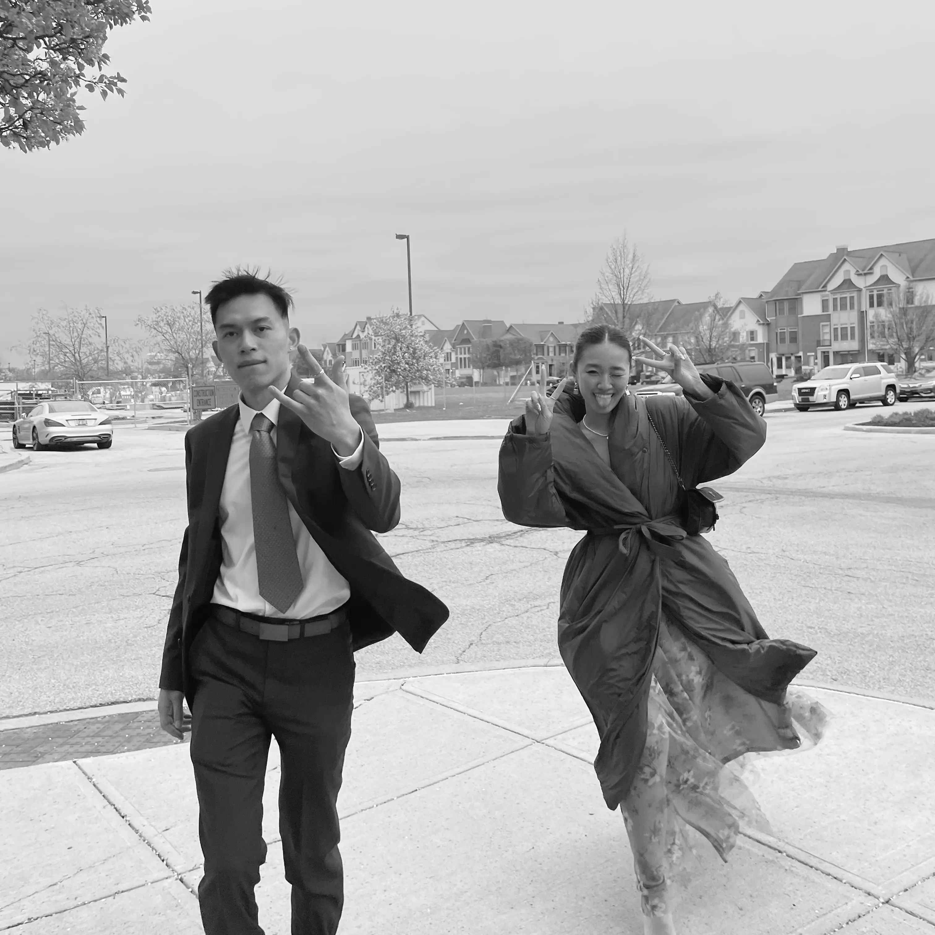 Young Ireland and Anderson