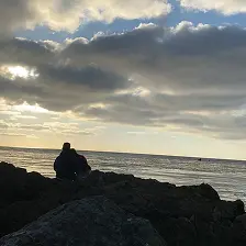 Young Ireland and Anderson