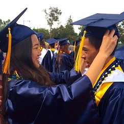 Young Ireland and Anderson