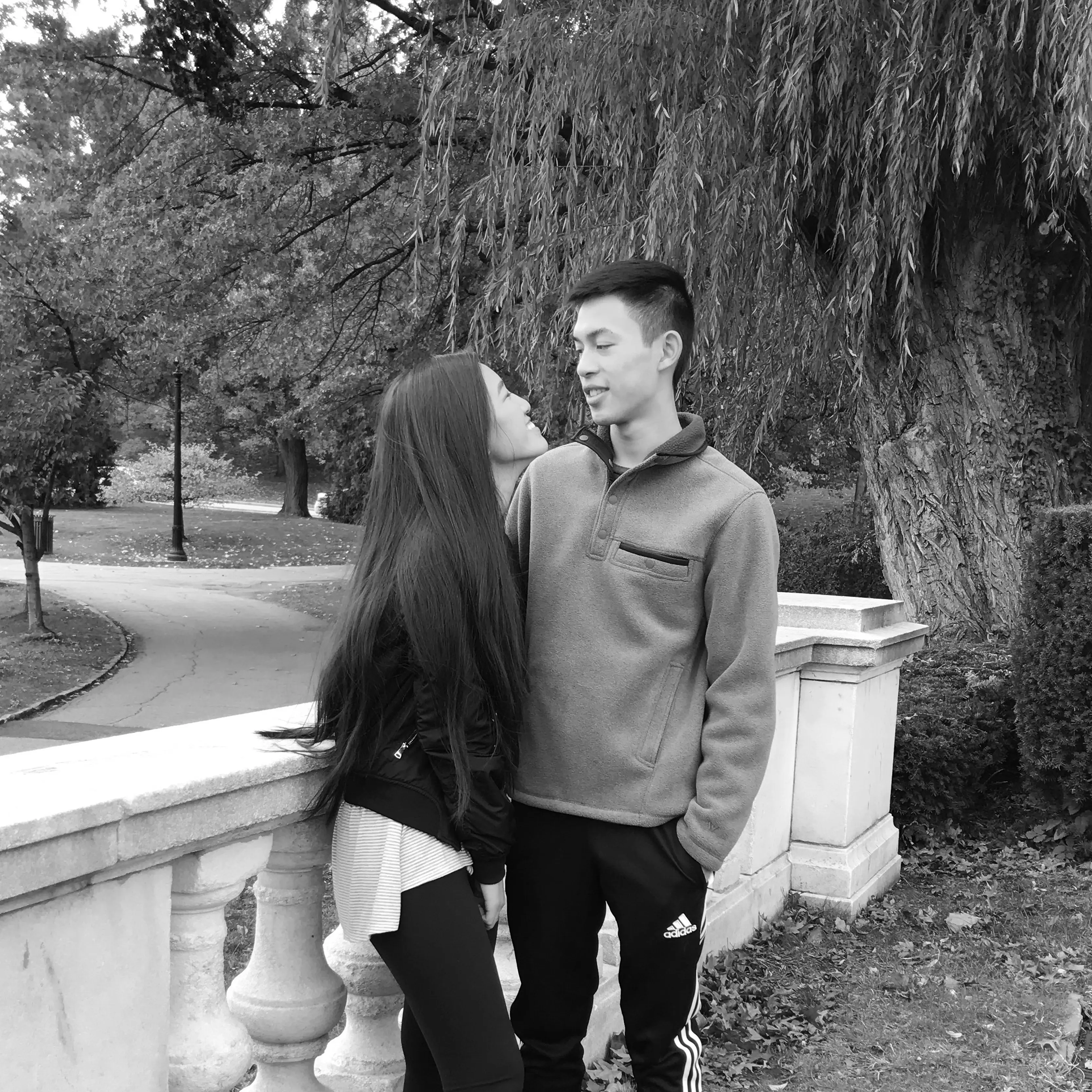 Young Ireland and Anderson